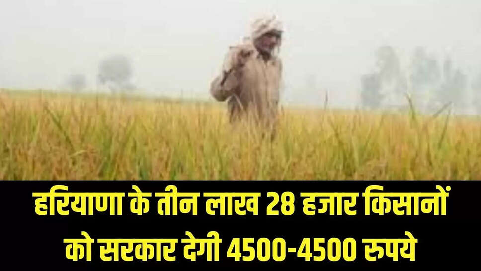 Haryana : हरियाणा के तीन लाख 28 हजार किसानों को सरकार देगी 4500-4500 रुपये