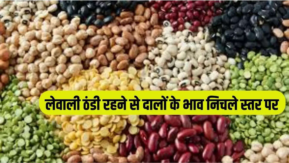 आयात बढ़ने के साथ-साथ लेवाली ठंडी रहने से दलहनों में उठाव नहीं आ रहा है