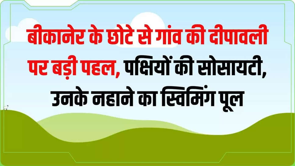 Touliyasar : बीकानेर के छोटे से गांव की दीपावली पर बड़ी पहल, पक्षियों की सोसायटी, उनके नहाने का स्विमिंग पूल