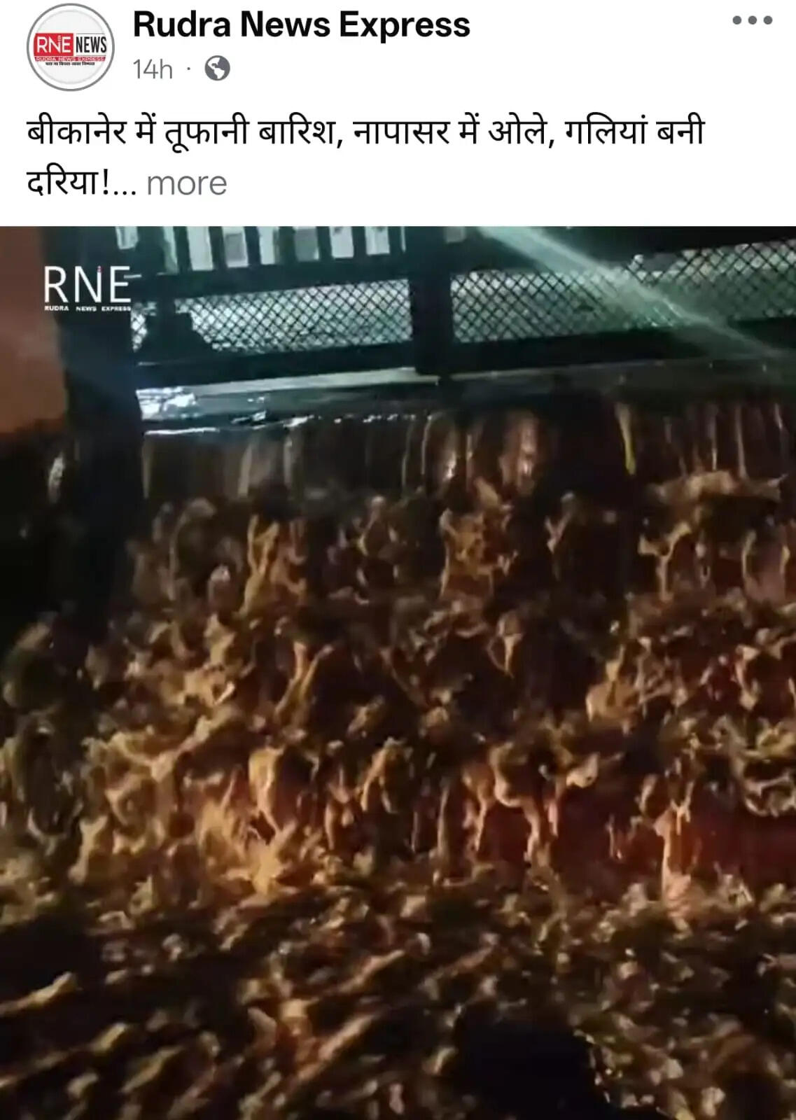 बीकानेर