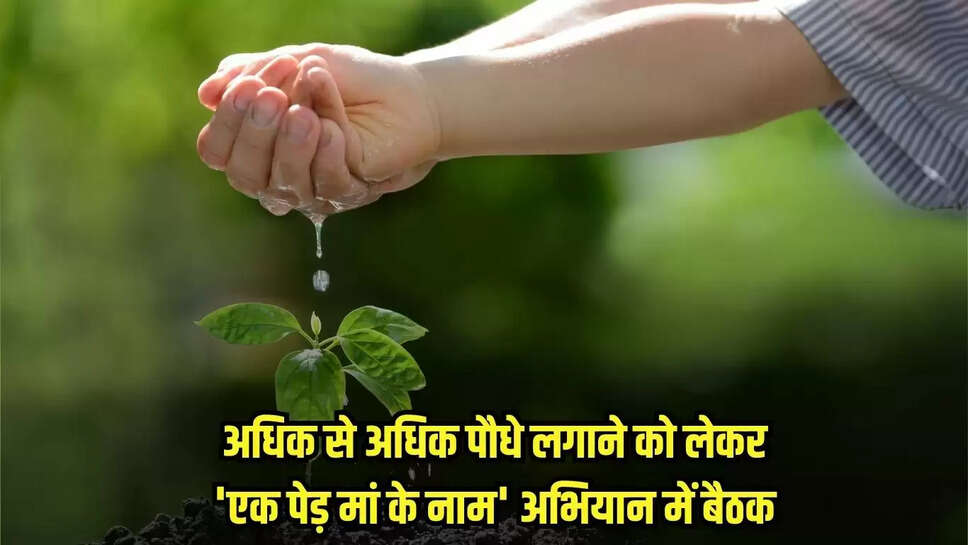 Mandsaur News