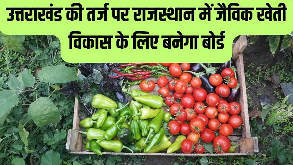 Organic farming  उत्तराखंड की तर्ज पर राजस्थान में जैविक खेती विकास के लिए बनेगा बोर्ड