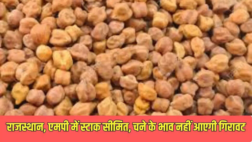 Today Mandi Bhav : राजस्थान, एमपी में स्टाक सीमित, चने के भाव नहीं आएगी गिरावट