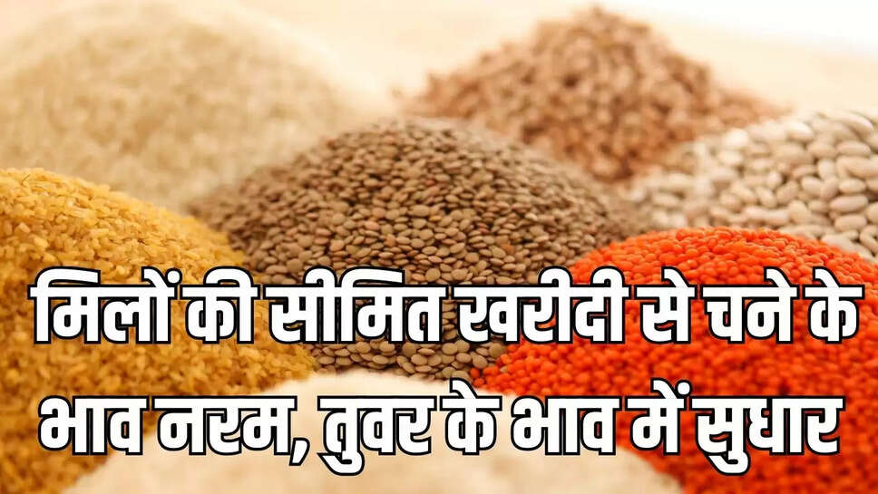 Prices Pulses  मिलों की सीमित खरीदी से चने के भाव नरम, तुवर के भाव में सुधार&nbsp;