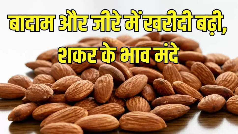 Grocery Market &nbsp;बादाम और जीरे में खरीदी बढ़ी, शकर के भाव मंदे