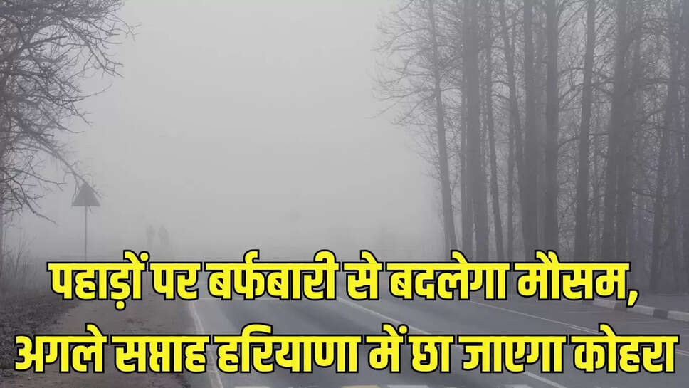 पहाड़ों पर बर्फबारी से बदलेगा मौसम, अगले सप्ताह हरियाणा में छा जाएगा कोहरा