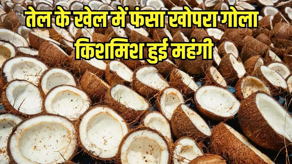 तेल के खेल में फंसा खोपरा गोला, किशमिश हुई महंगी
