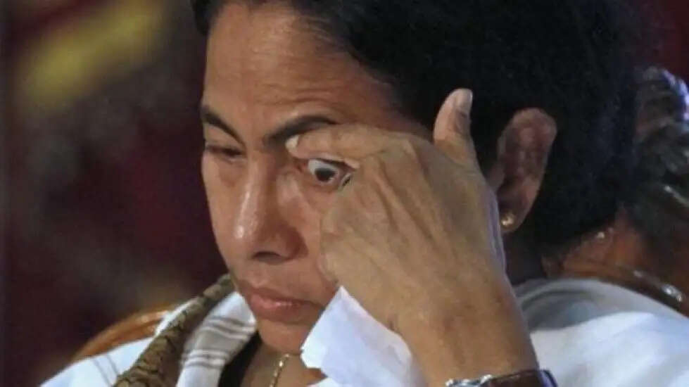 ममता 