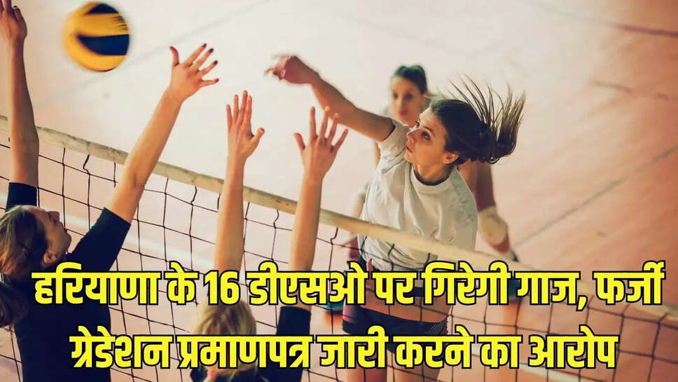 Govt Action  हरियाणा के 16 डीएसओ पर गिरेगी गाज, फर्जी ग्रेडेशन प्रमाणपत्र जारी करने का आरोप 