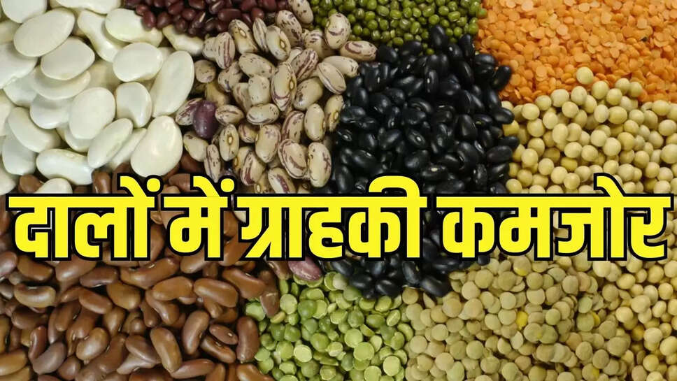 Mandi price  दालों में ग्राहकी कमजोर हुई, मसूर के दाल 50 रुपये प्रति क्विंटल गिरे 