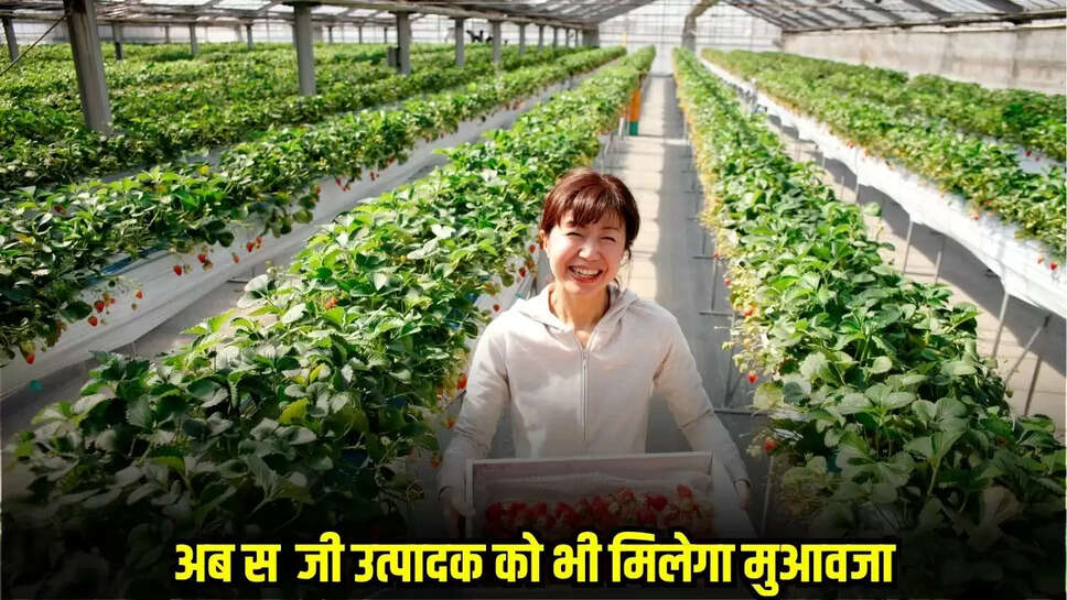 Rajasthan News