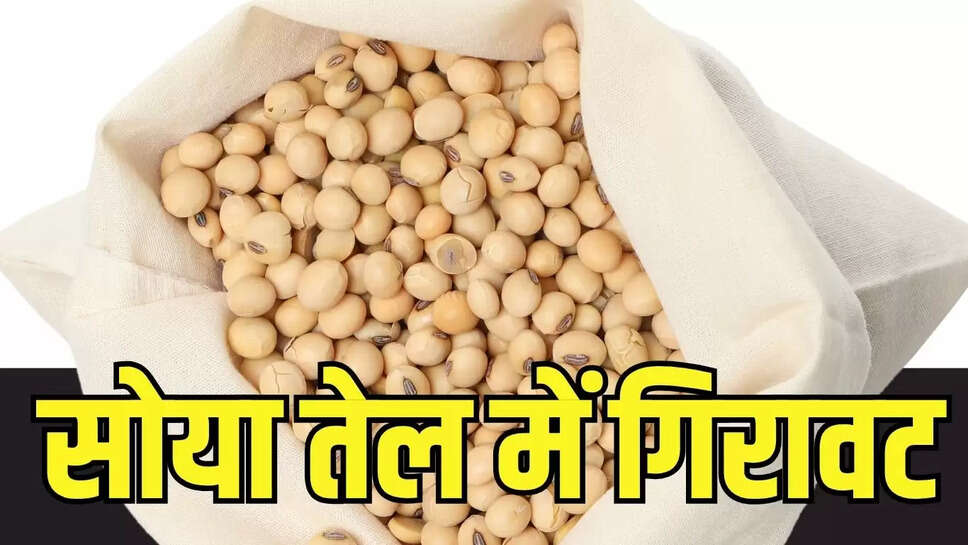 Mandi Price  विदेशी बाजारों में सोया तेल की खरीदारी कमजोर, भाव में आई गिरावट 