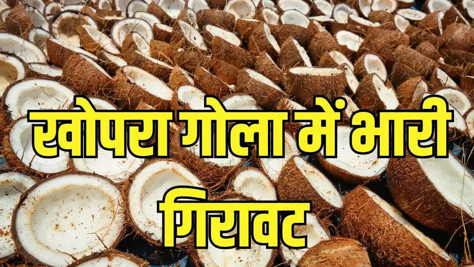 Mandi Bhav : रिकार्ड भाव पर पहुंचकर खोपरा गोला में भारी गिरावट 