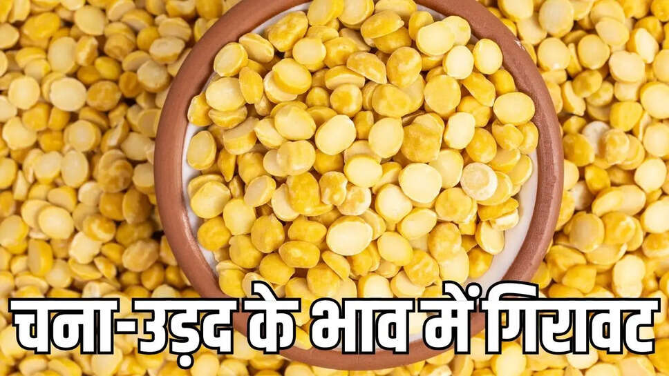 Chana-Urad Bhav  नए माल की आवक एवं कमजोर मांग से चना-उड़द के भाव में गिरावट&nbsp;