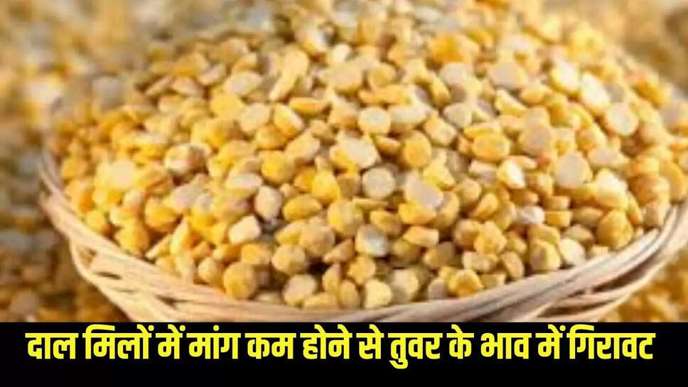 Market Price : दाल मिलों में मांग कम होने से तुवर के भाव में गिरावट 