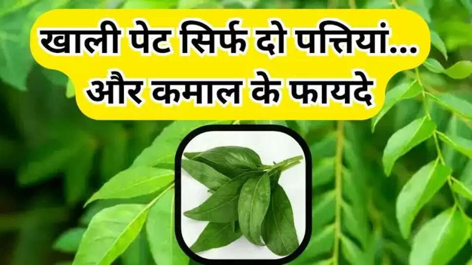 Curry leaves