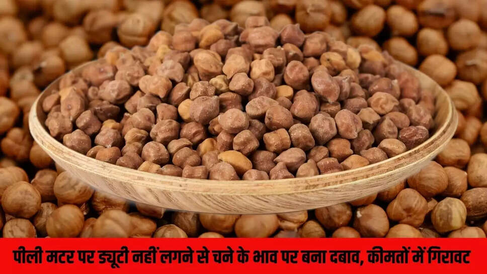 Mandi Bhav : पीली मटर पर ड्यूटी नहीं लगने से चने के भाव पर बना दबाव, कीमतों में गिरावट 