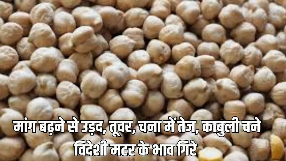 मांग बढ़ने से उड़द, तूवर, चना में तेज, काबुली चने  विदेशी मटर के भाव गिरे 