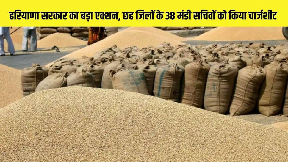 Big Action : हरियाणा सरकार का बड़ा एक्शन, छह जिलों के 38 मंडी सचिवों को किया चार्जशीट 