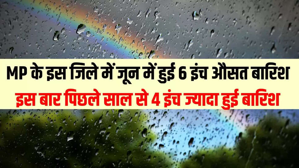 mp news