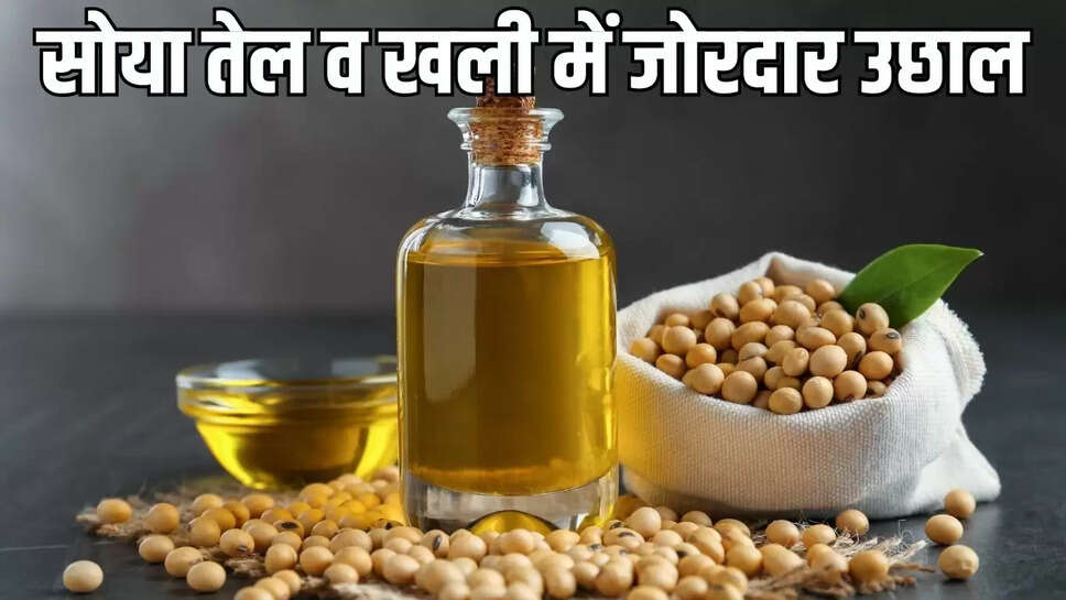 Soya Oil Price  विदेशी बाजारों में तेजी से सोया तेल व खली में जोरदार उछाल, एमपी मंडियों के थोक भाव&nbsp;