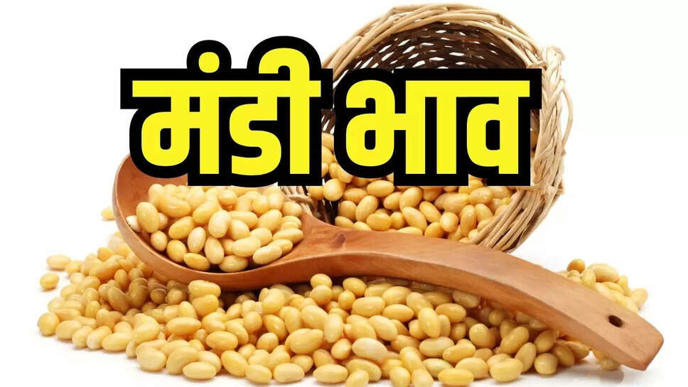 Soybean Mandi Bhav : सोयाबीन की आवक में आई तेजी, भाव में गिरावट जारी 