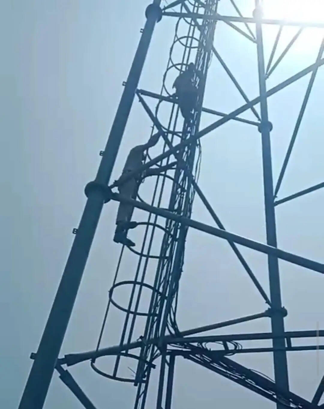 Tower