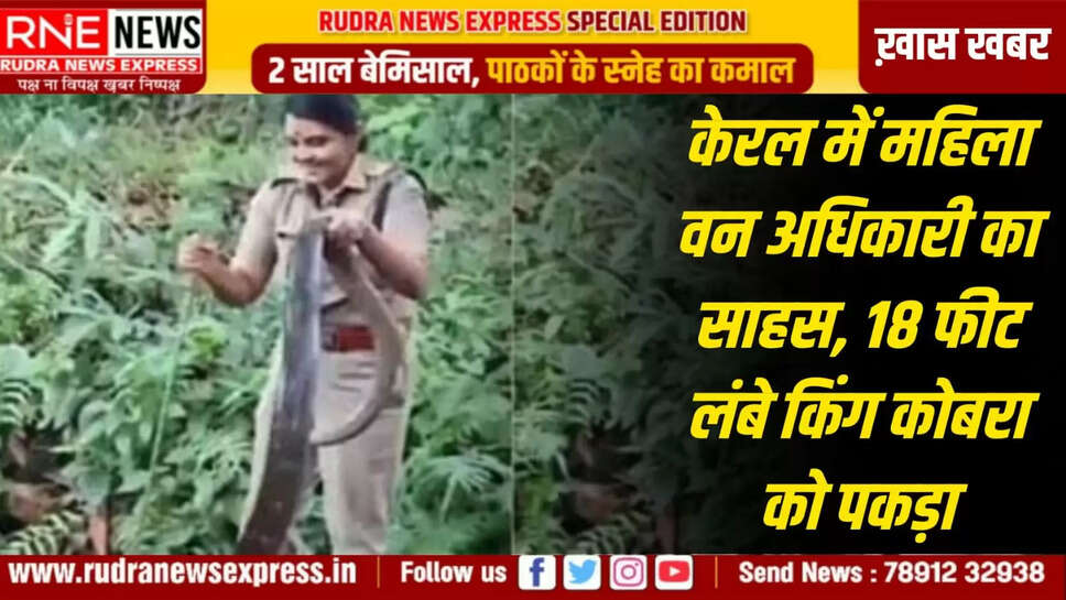 18 फिट लंबा, 20 किलो वजनी किंग कोबरा, अधिकारी रोशनी ने पलक झपकते ही काबू में किया
