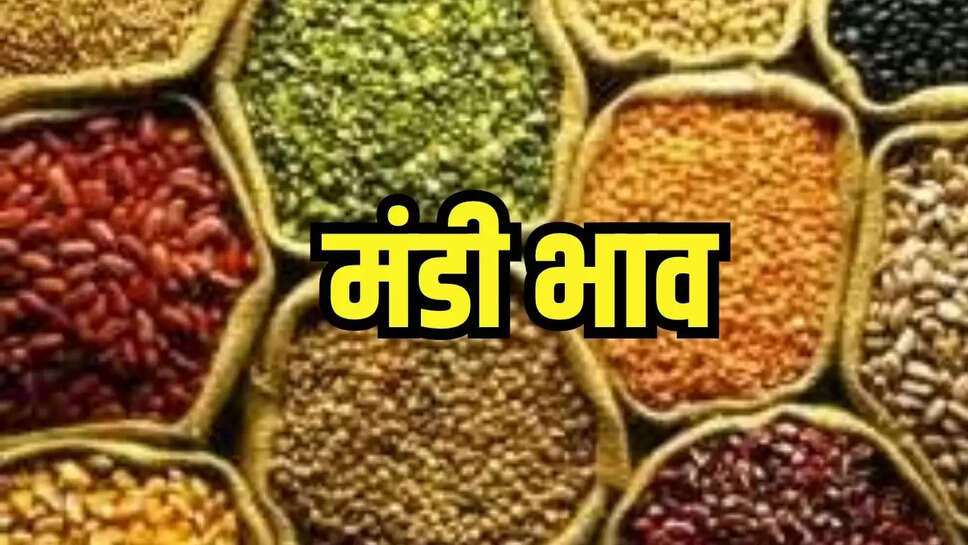 Today Mandi Bhav : चने ने व्यापारियों को डाला असमंजस में, जाने दाल-दलहनों की थोक कीमतें