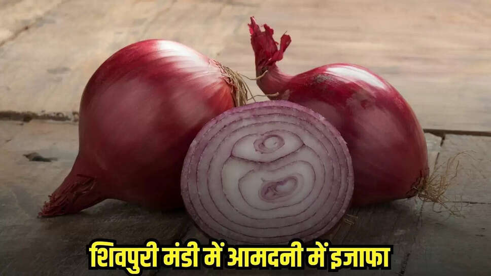 MP news