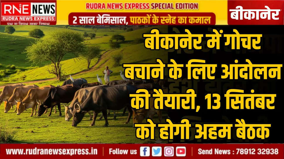 बिन