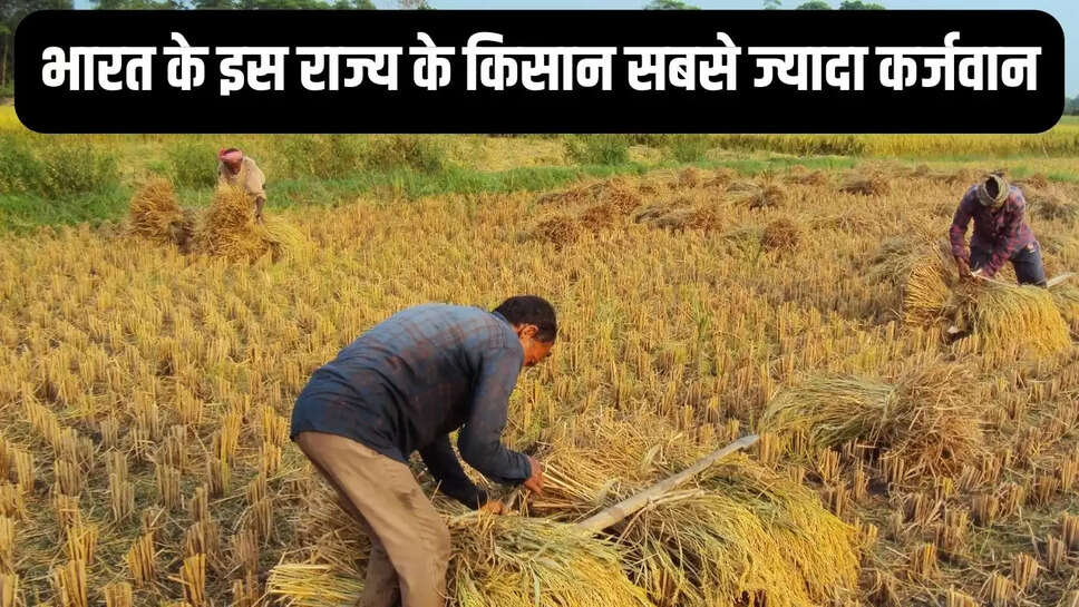 Farmer Loan  भारत के इस राज्य के किसान सबसे ज्यादा कर्जवान, पंजाब तीसरे व हरियाणा का चौथा नंबर&nbsp;