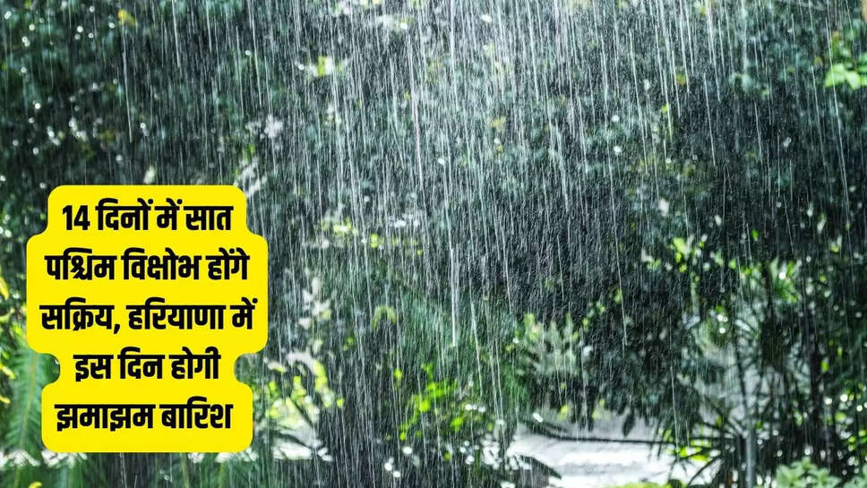 kal ka mausam  14 दिनों में सात पश्चिम विक्षोभ होंगे सक्रिय, हरियाणा में इस दिन होगी झमाझम बारिश&nbsp;