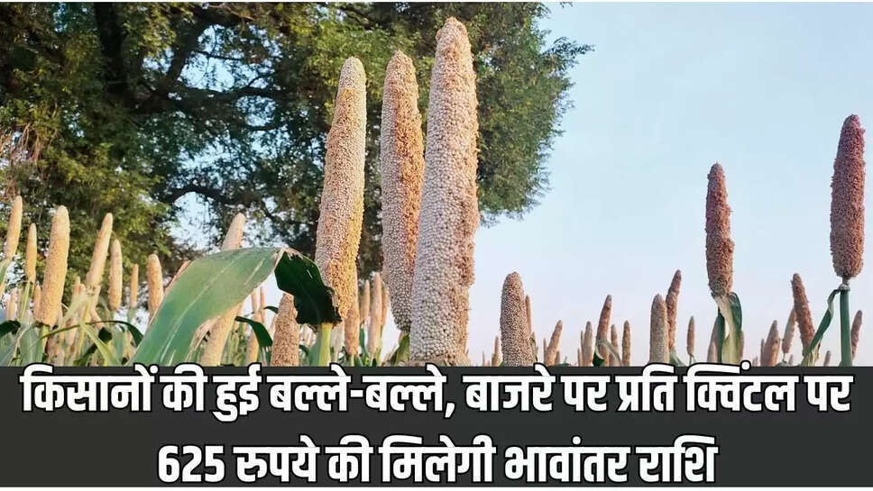 Millet Purchase : किसानों की हुई बल्ले-बल्ले, बाजरे पर प्रति क्विंटल पर 625 रुपये की मिलेगी भावांतर राशि