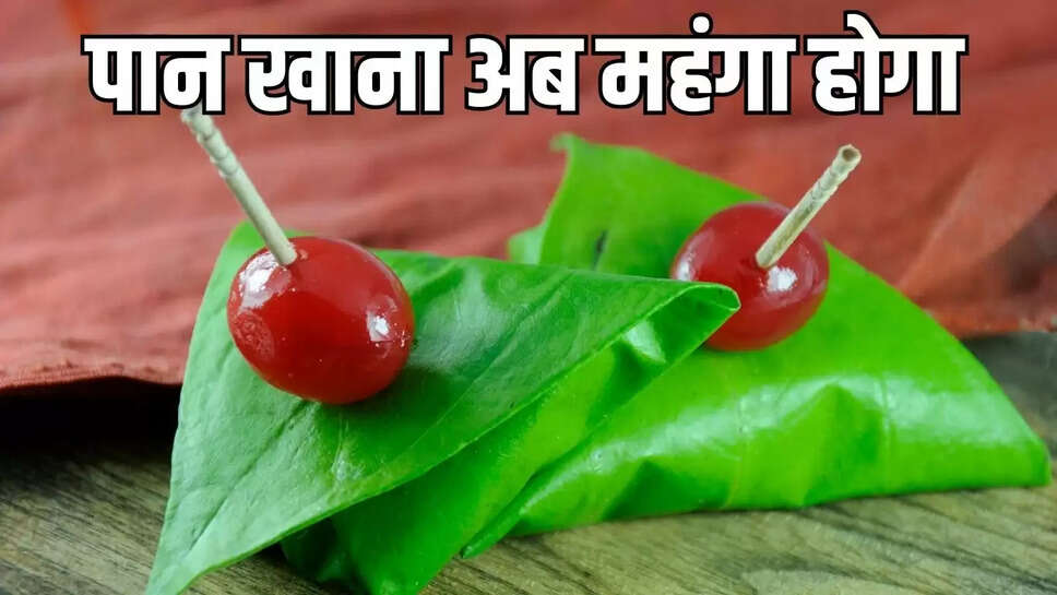 बीकानेरवासियों के लिए पान खाना अब महंगा होगा,&nbsp;पान के दाम 90 रुपए तक