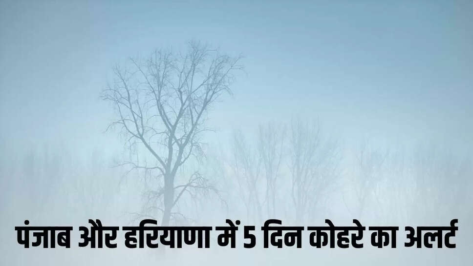 Weather Update  पंजाब और हरियाणा में 5 दिन कोहरे का अलर्ट, हिमाचल में 15 को बर्फबारी संभव&nbsp;