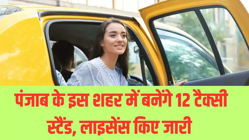 Punjab News  पंजाब के इस शहर में बनेंगे 12 टैक्सी स्टैंड, लाइसेंस किए जारी 
