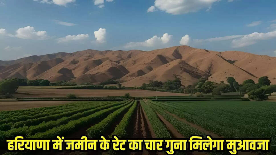 Haryana Updates