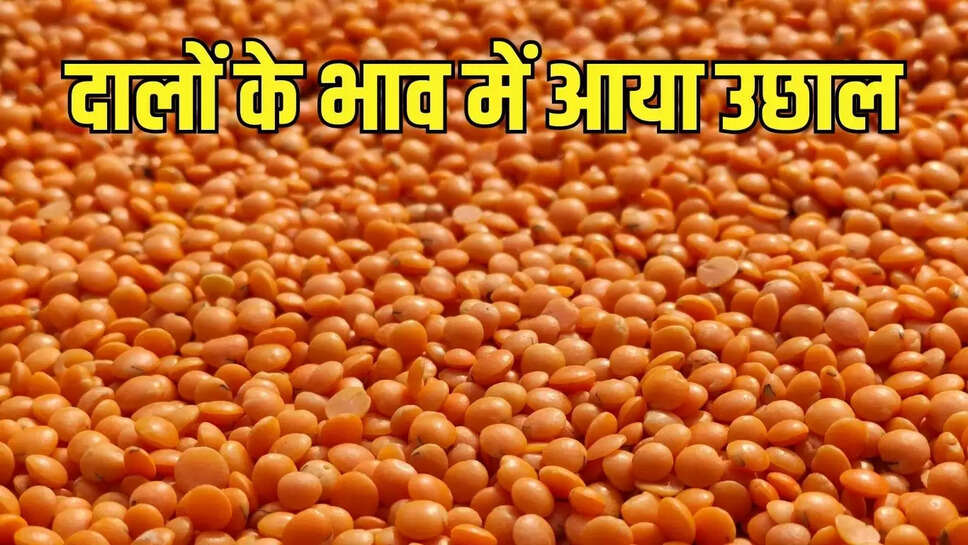 Pulse Price  दालों के भाव में आया उछाल, दलहनों के आयात बढ़ने के आसार नहीं&nbsp;