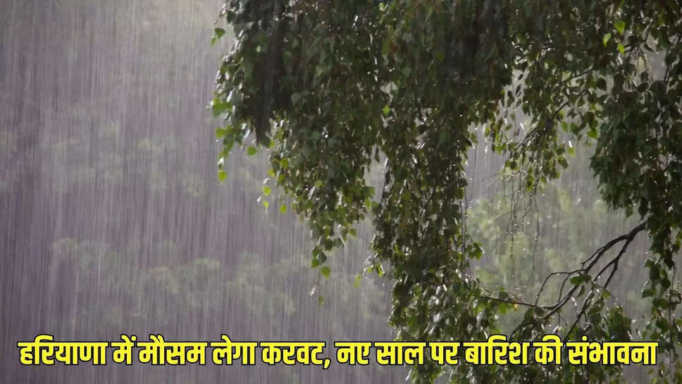 Haryana weather update  हरियाणा में मौसम लेगा करवट, नए साल पर बारिश की संभावना&nbsp;