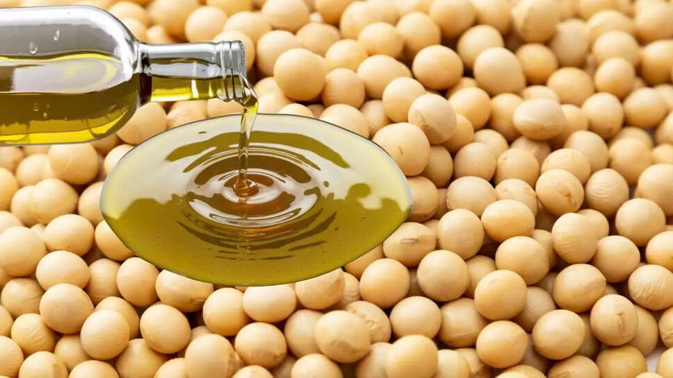 सोयाबीन, वनस्पति तेल, तिलहन के भाव में गिरावट, आयात बढ़ने से मांग हुई कमजोर&nbsp;