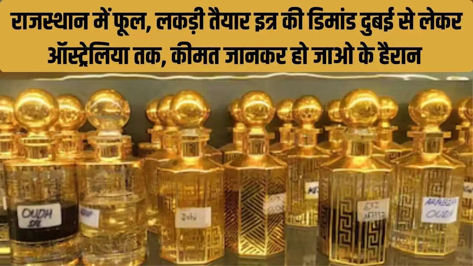 Rajasthan Perfume : राजस्थान में फूल, लकड़ी तैयार इत्र की डिमांड दुबई से लेकर ऑस्ट्रेलिया तक, कीमत जानकर हो जाओ के हैरान 