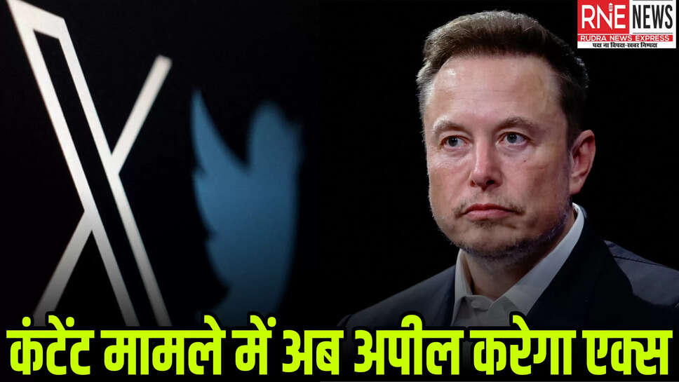 Elon misk
