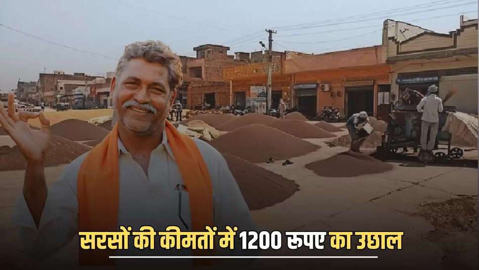 Amit Goyal, Bharatpur, Bharatpur news, farmers are in trouble, Mustard prices