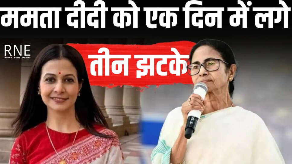 mamta jiji