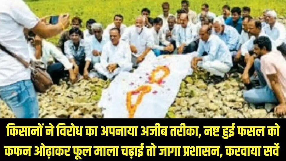 Farmer protest : किसानों ने विरोध का अपनाया अजीब तरीका, नष्ट हुई फसल को कफन ओढ़ाकर फूल माला चढ़ाई तो जागा प्रशासन, करवाया सर्वे 