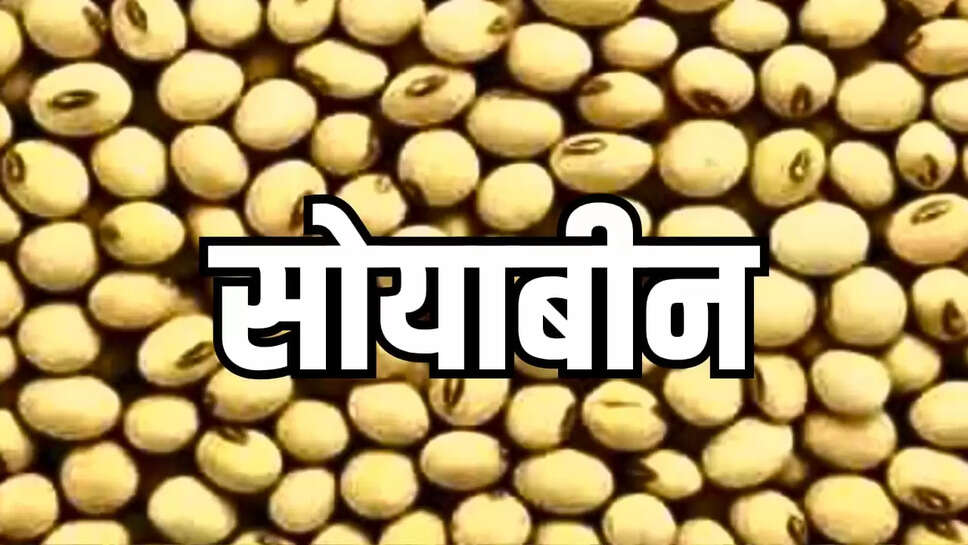 Soybean Rate Update