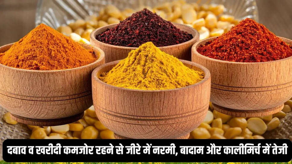 Masale ka bhav : दबाव व खरीदी कमजोर रहने से जीरे में नरमी, बादाम और कालीमिर्च में तेजी