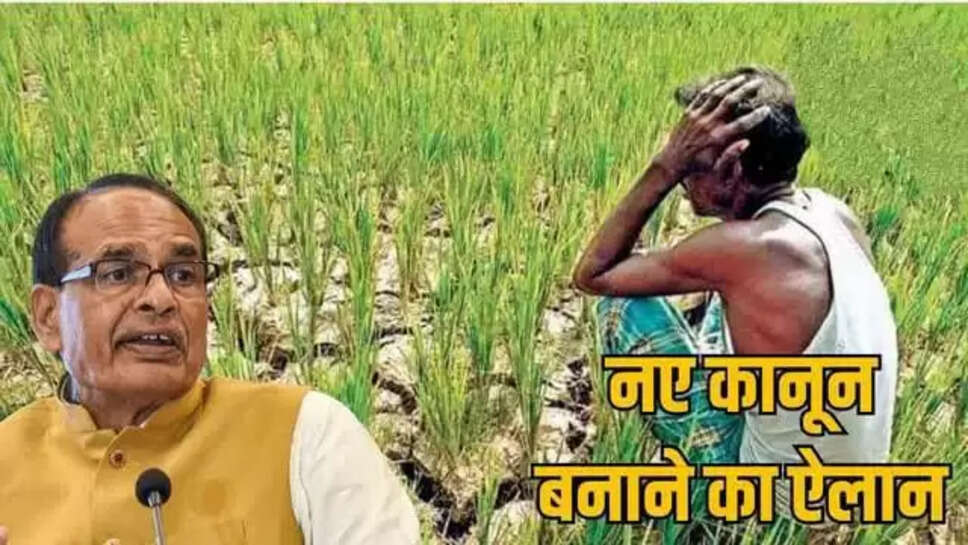 Mp news