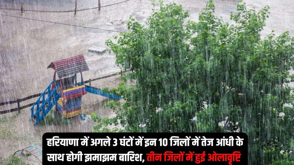 Hailstorm Alert Haryana  हरियाणा में अगले 3 घंटों में इन 10 जिलों में तेज आंधी के साथ होगी झमाझम बारिश, तीन जिलों में हुई ओलावृष्टि&nbsp;